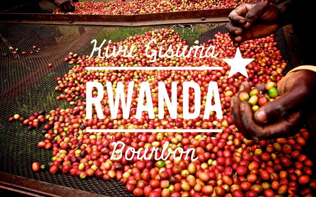 Hello Rwanda! Stunning new coffee from The Gisuma Co-operative