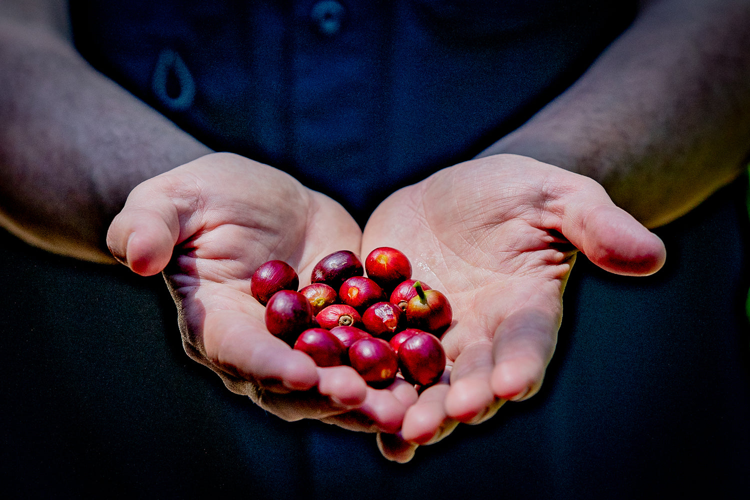 Can good coffee change the world ?