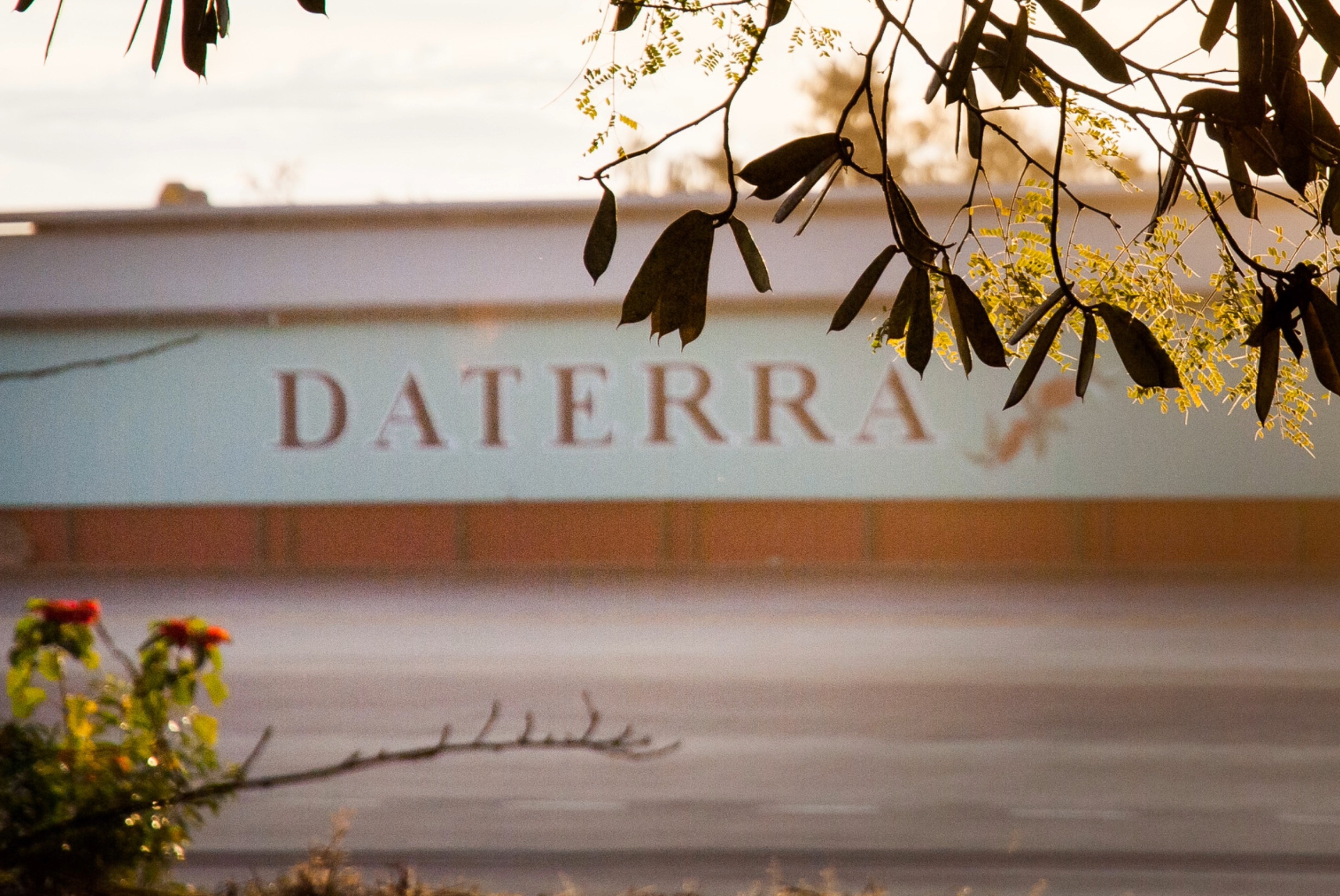 Daterra // From The Earth