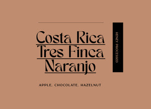 Costa Rica - Tres Finca Naranjo