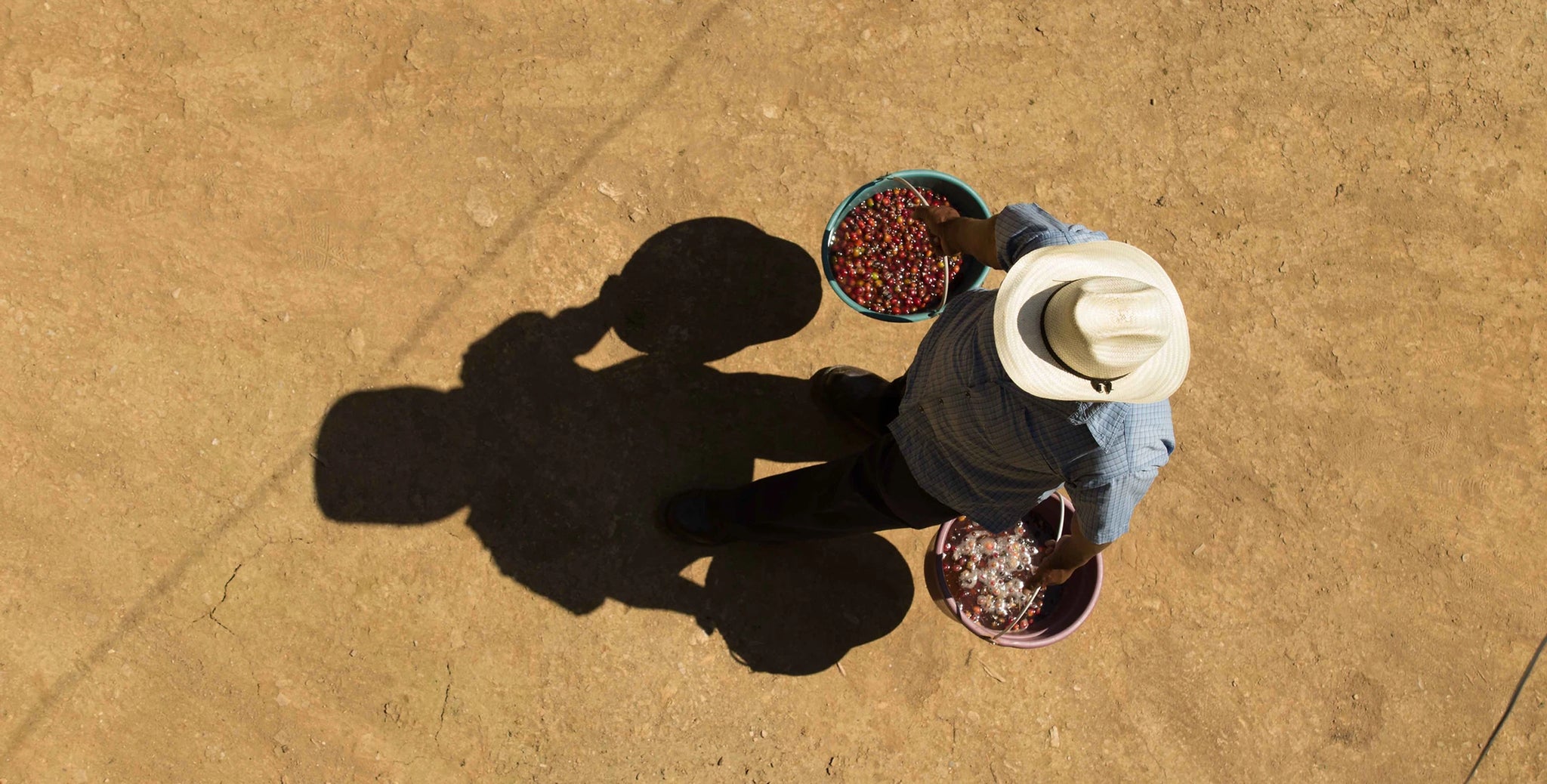 DECAF Mexico El Capitan